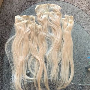 Platinum Clip-In Where You Want Hair Extensions